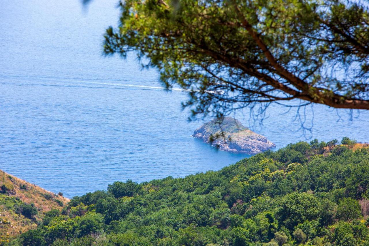 Villa Fedora Sea&Stars Massa Lubrense Esterno foto