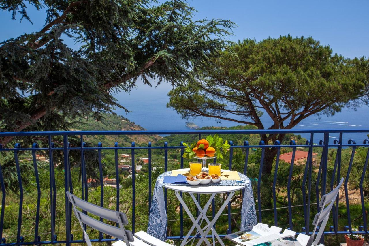 Villa Fedora Sea&Stars Massa Lubrense Esterno foto